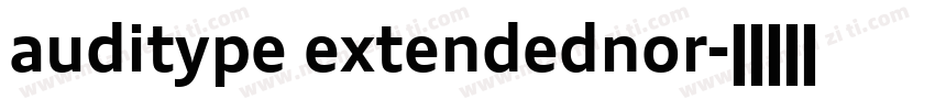 auditype extendednor字体转换